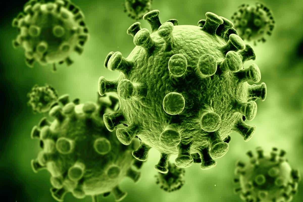 Mehr über den Artikel erfahren COVID 19 – Wir schließen leider unseren Bunkerstore